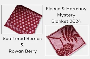 Fleece and Harmony Blanket 2024 February