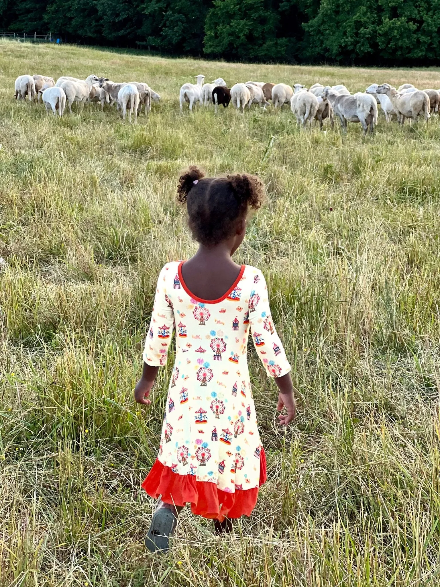 Free Birdees County Fair Ruffle Hi-Lo Twirling Dress (2T-6Y)