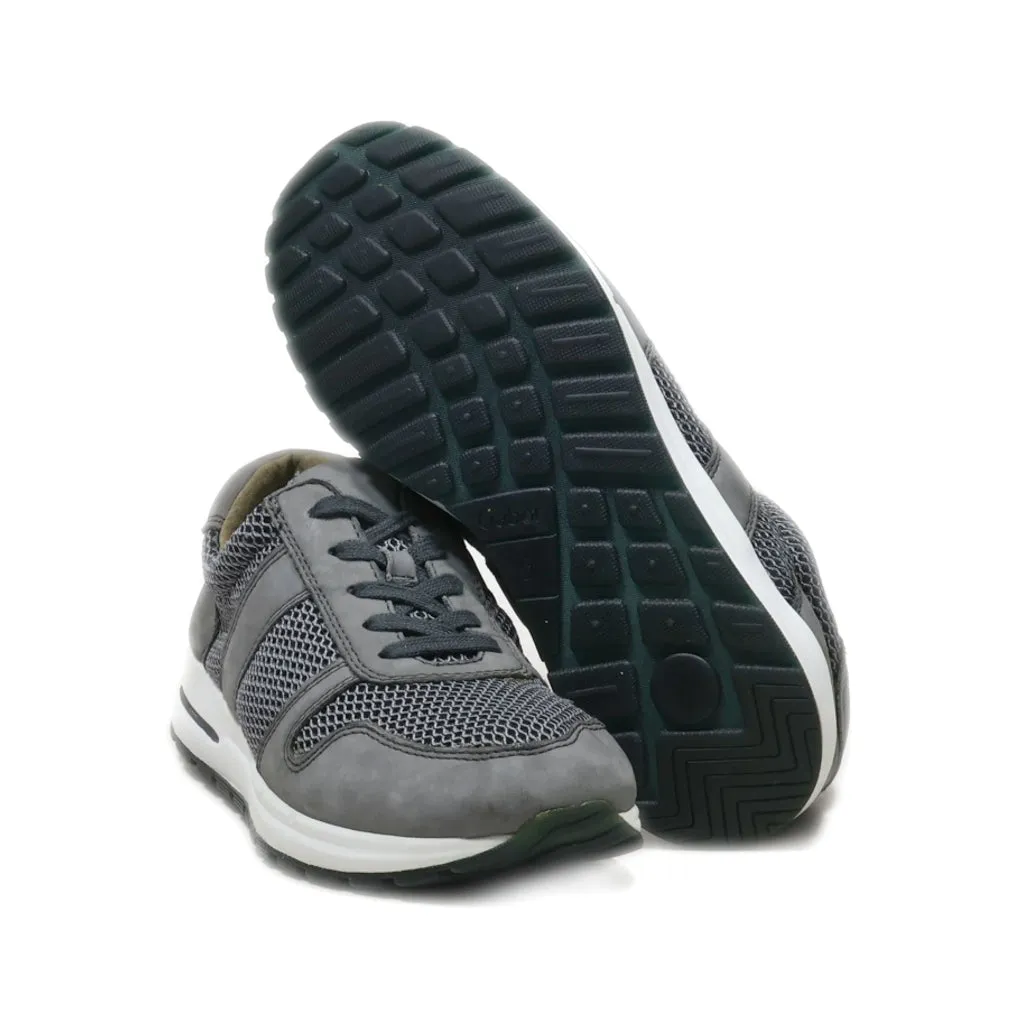 Gabor Lace Ups Fabric Grey Colour For Women