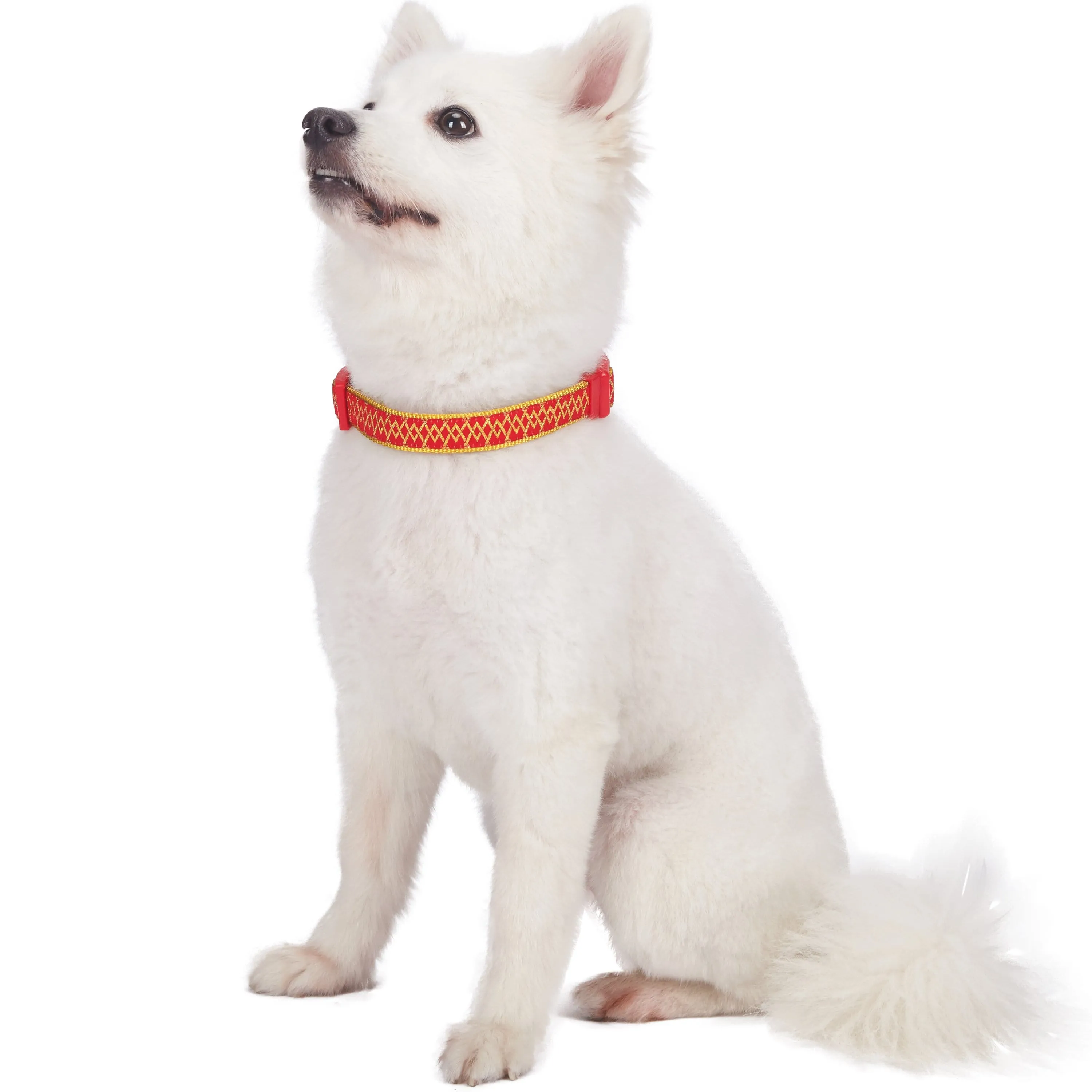 Geometric Designer Metallic Thread Dog Collar