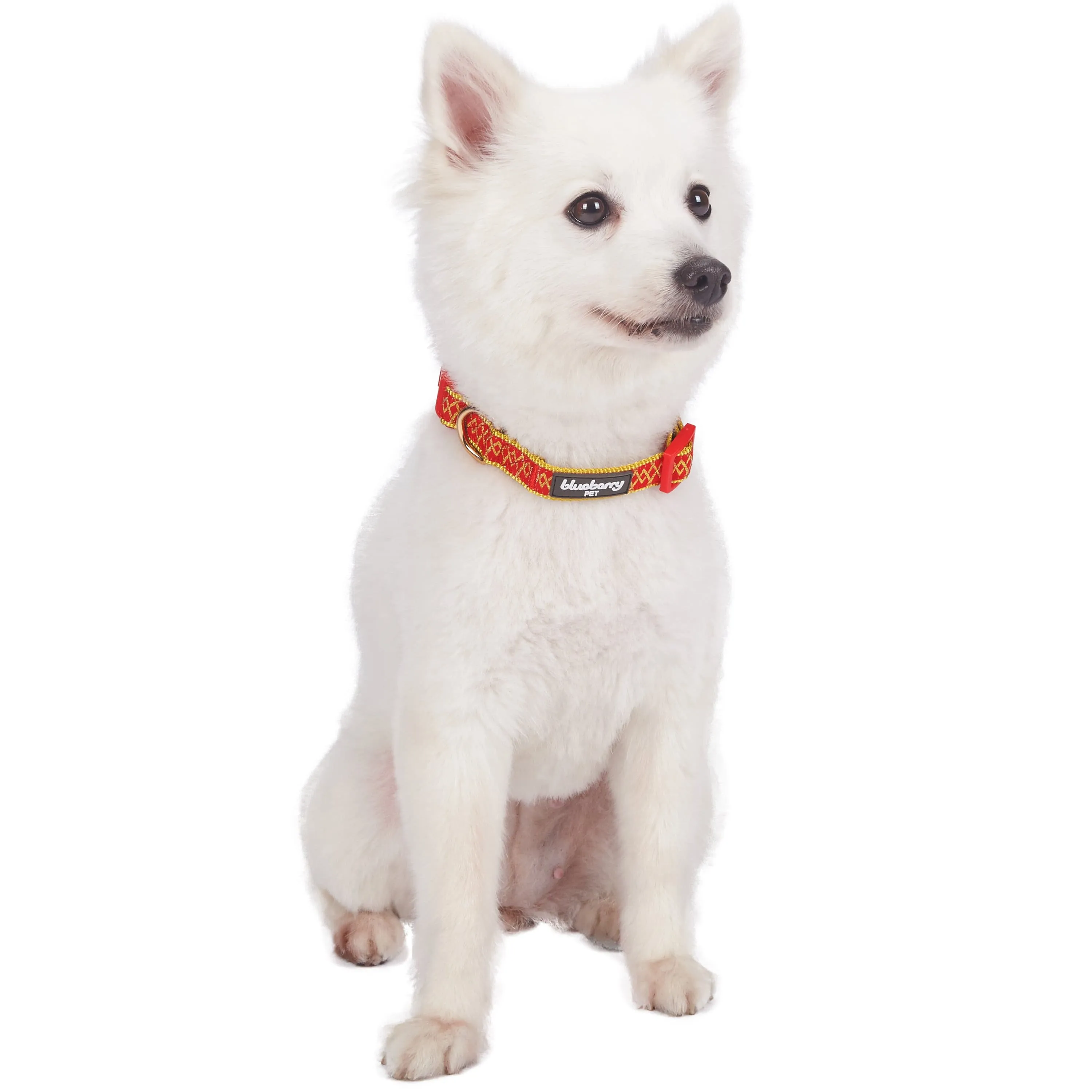 Geometric Designer Metallic Thread Dog Collar