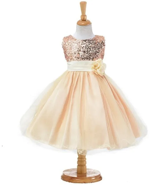 Girls Sequined Flower Princess Party Dress, Baby Girls