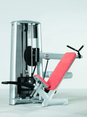 Gym80 Pullover Machine, Sygnum Standard