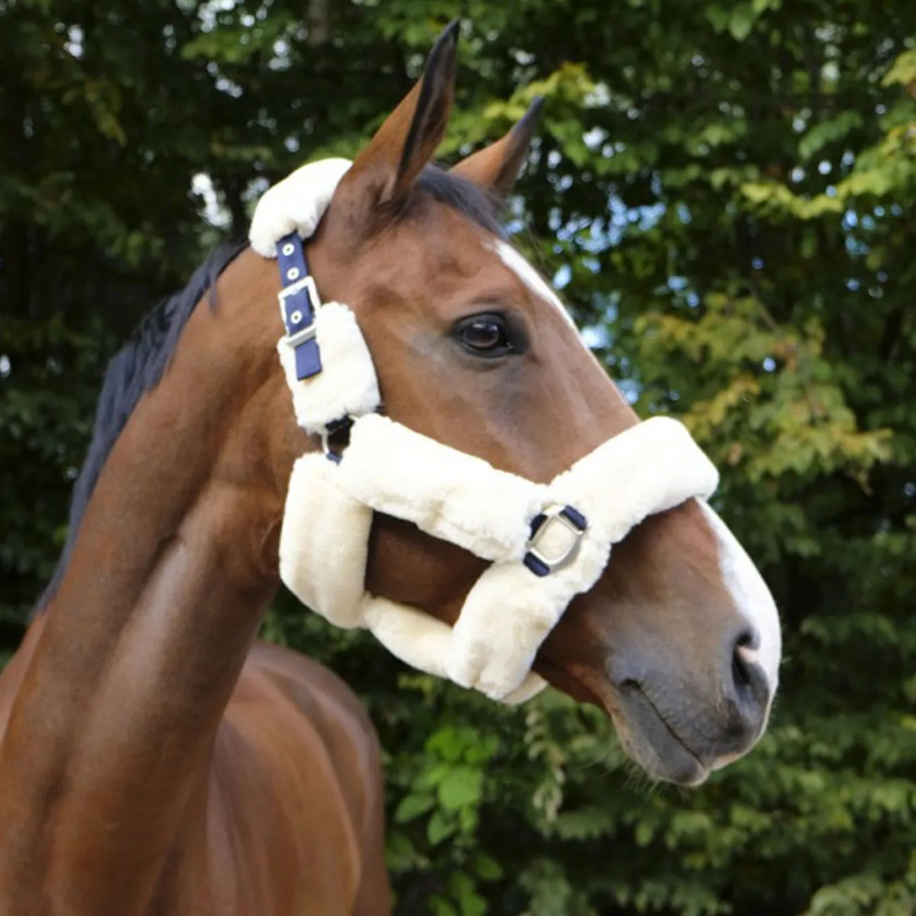 HALTER WITH LITTLE LAMB NAVY AND WHITE