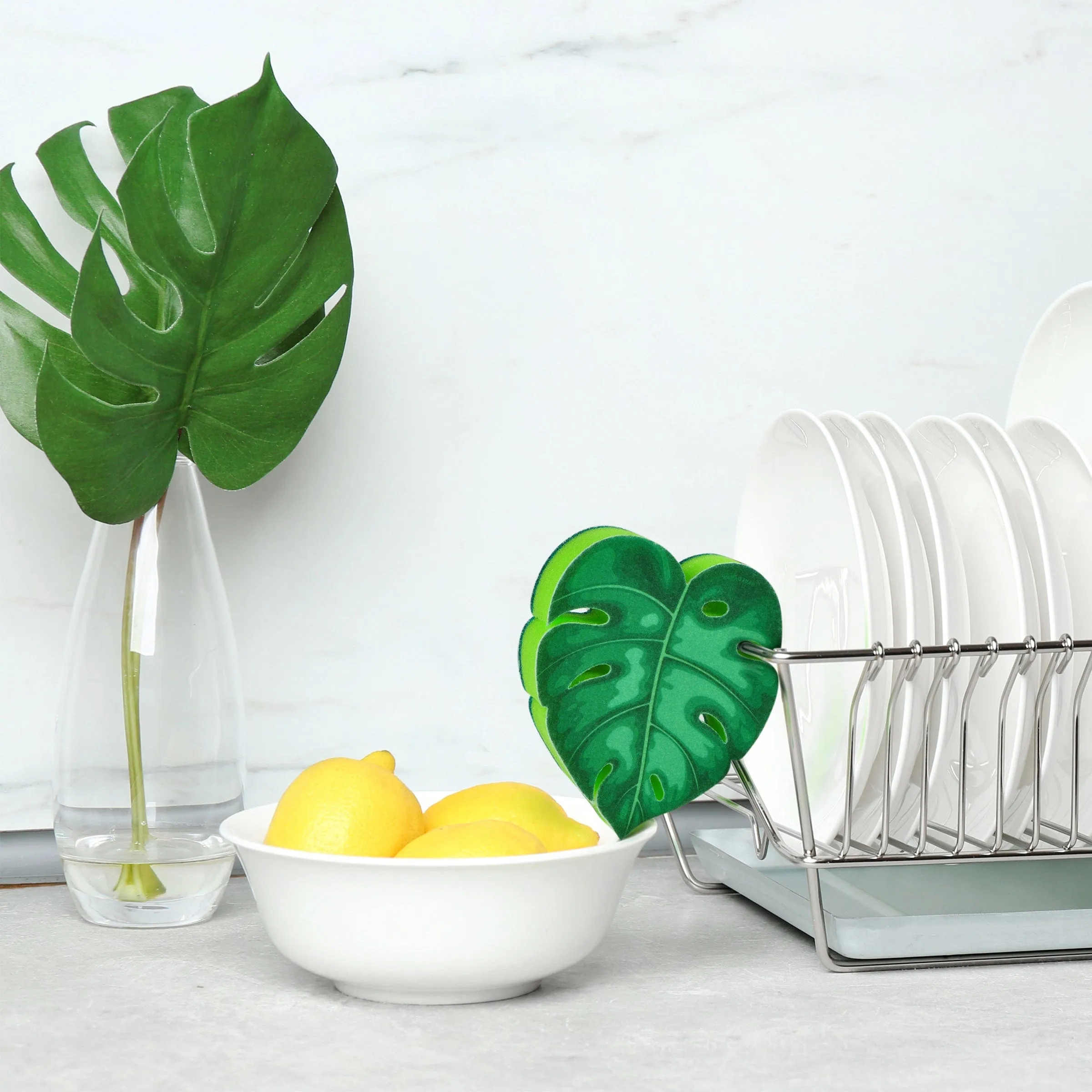 Houseplant Sponge