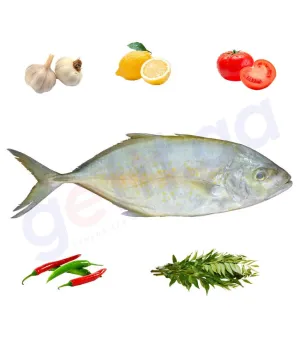 JASH - جش - WHITEFIN TRAVALLY (Small) 1Kg