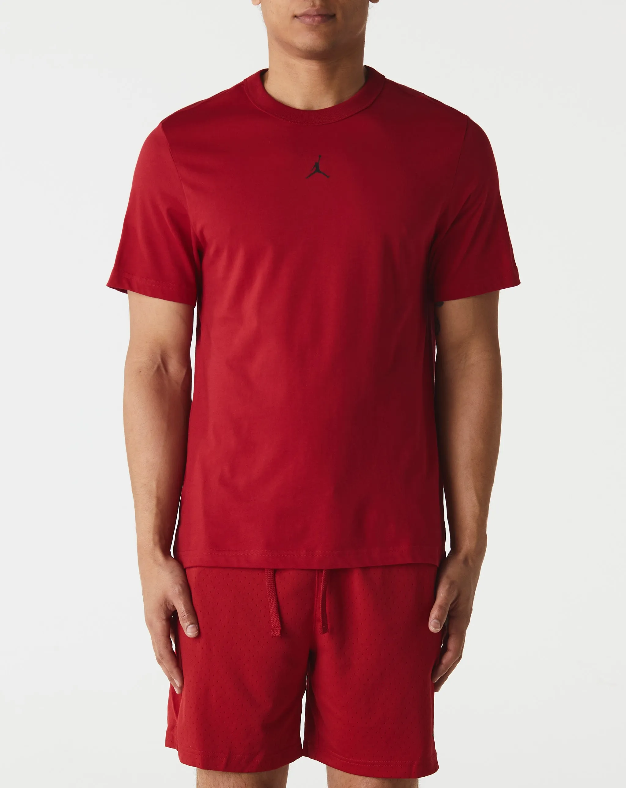 Jordan Sport Dri-FIT Performance T-Shirt