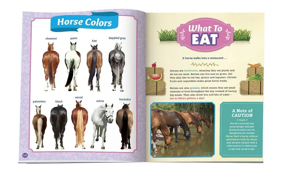 Klutz Wild About Horses