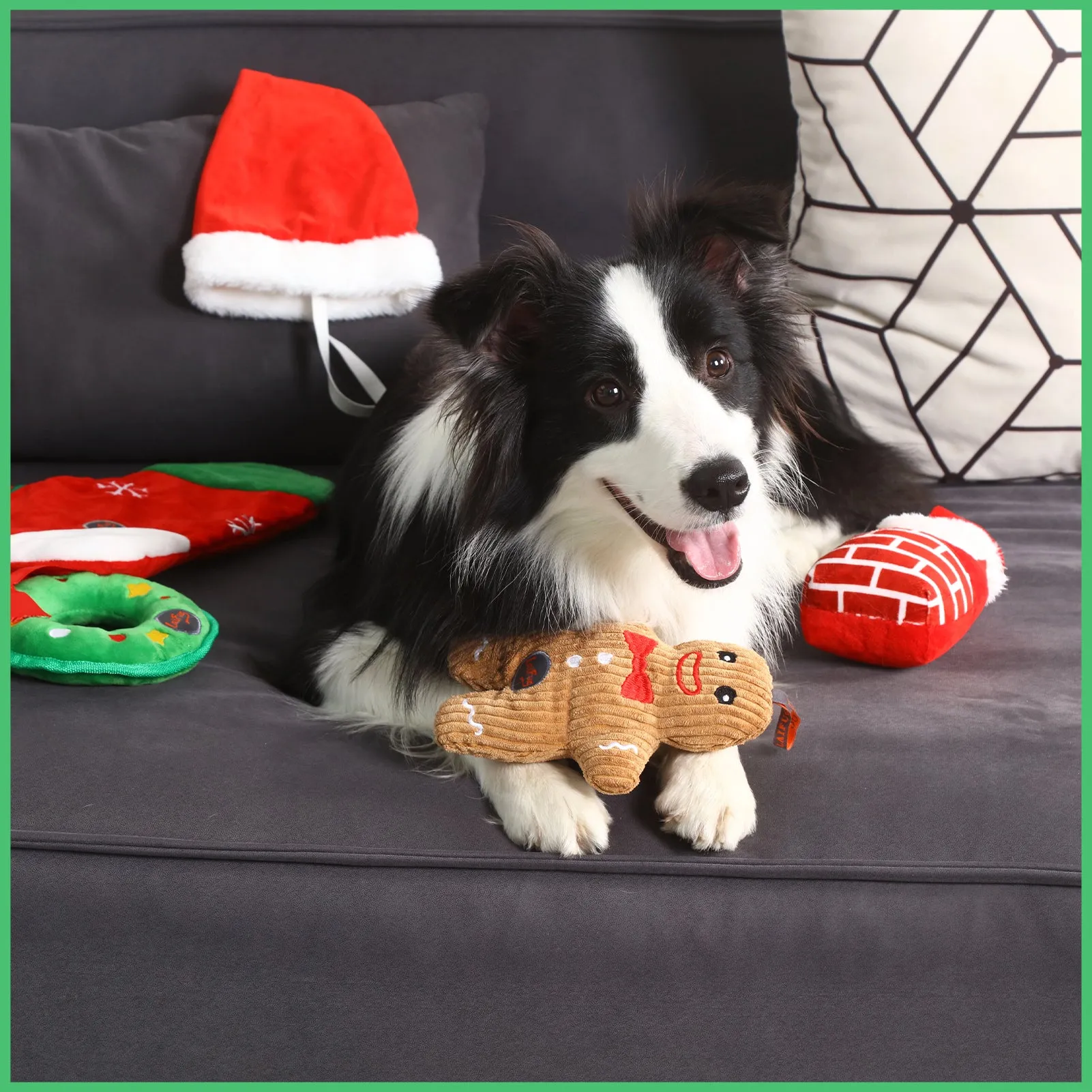 Laifug Christmas Dog Toy, Squeaky Toy