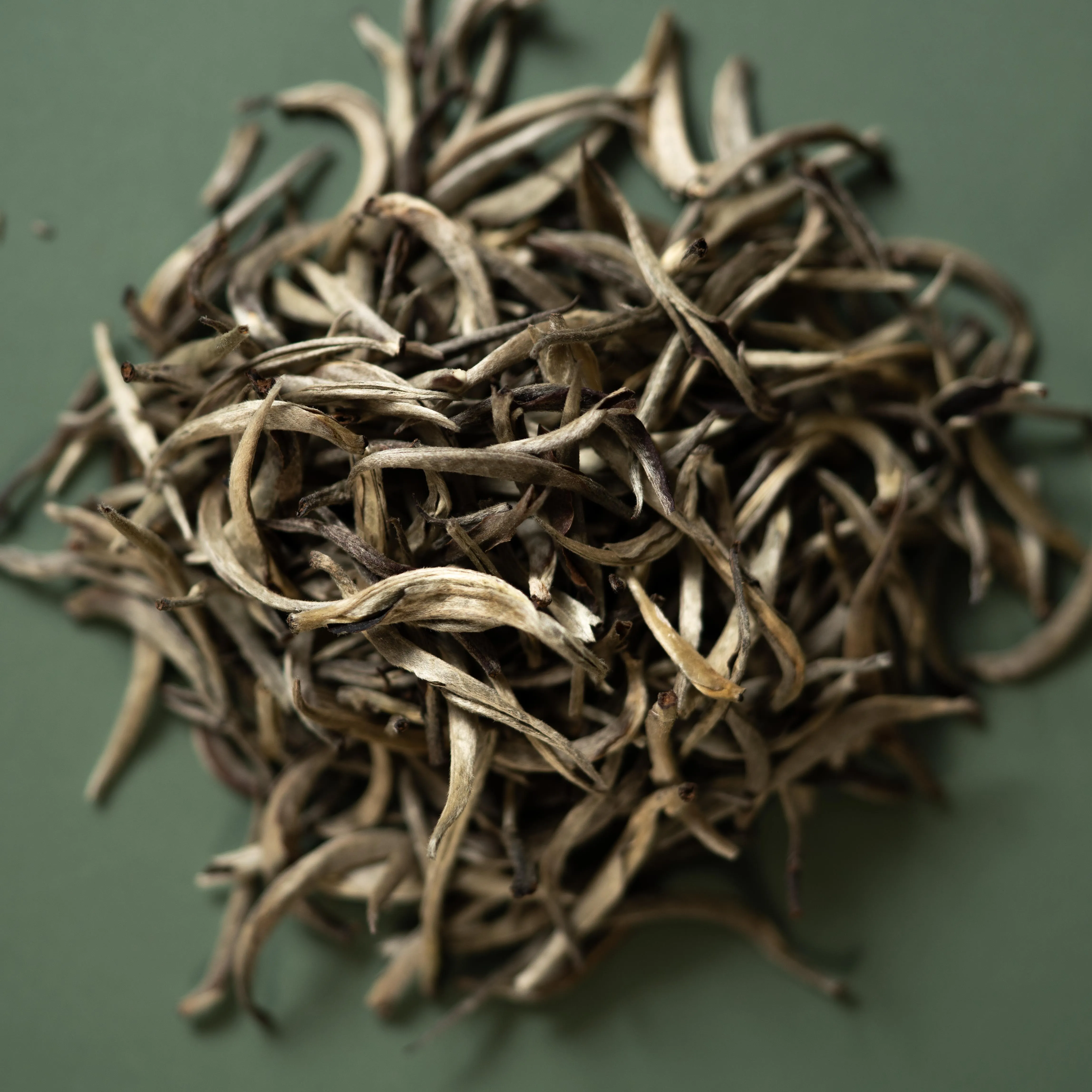 Lanna Silver Needle