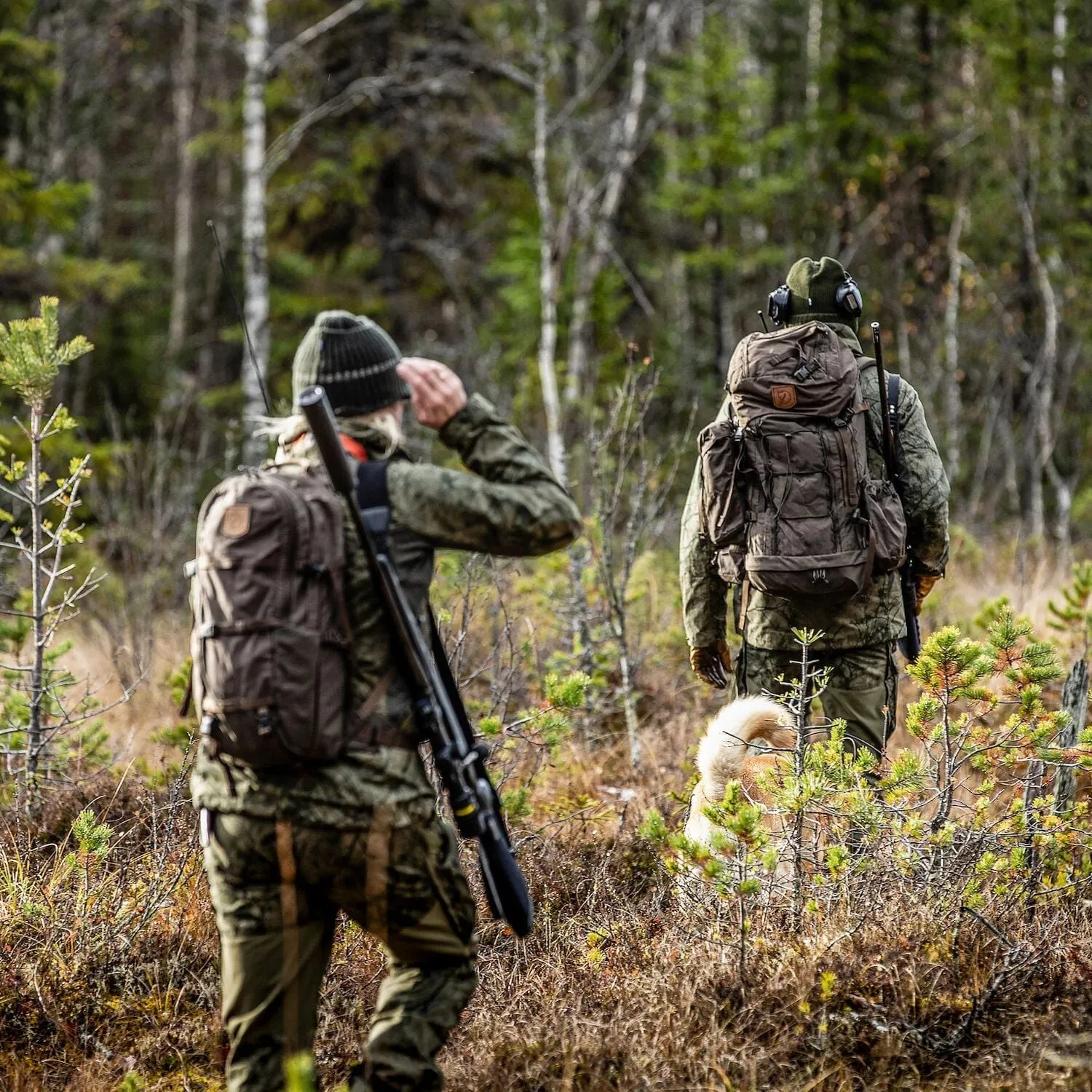 Lappland Hike 15