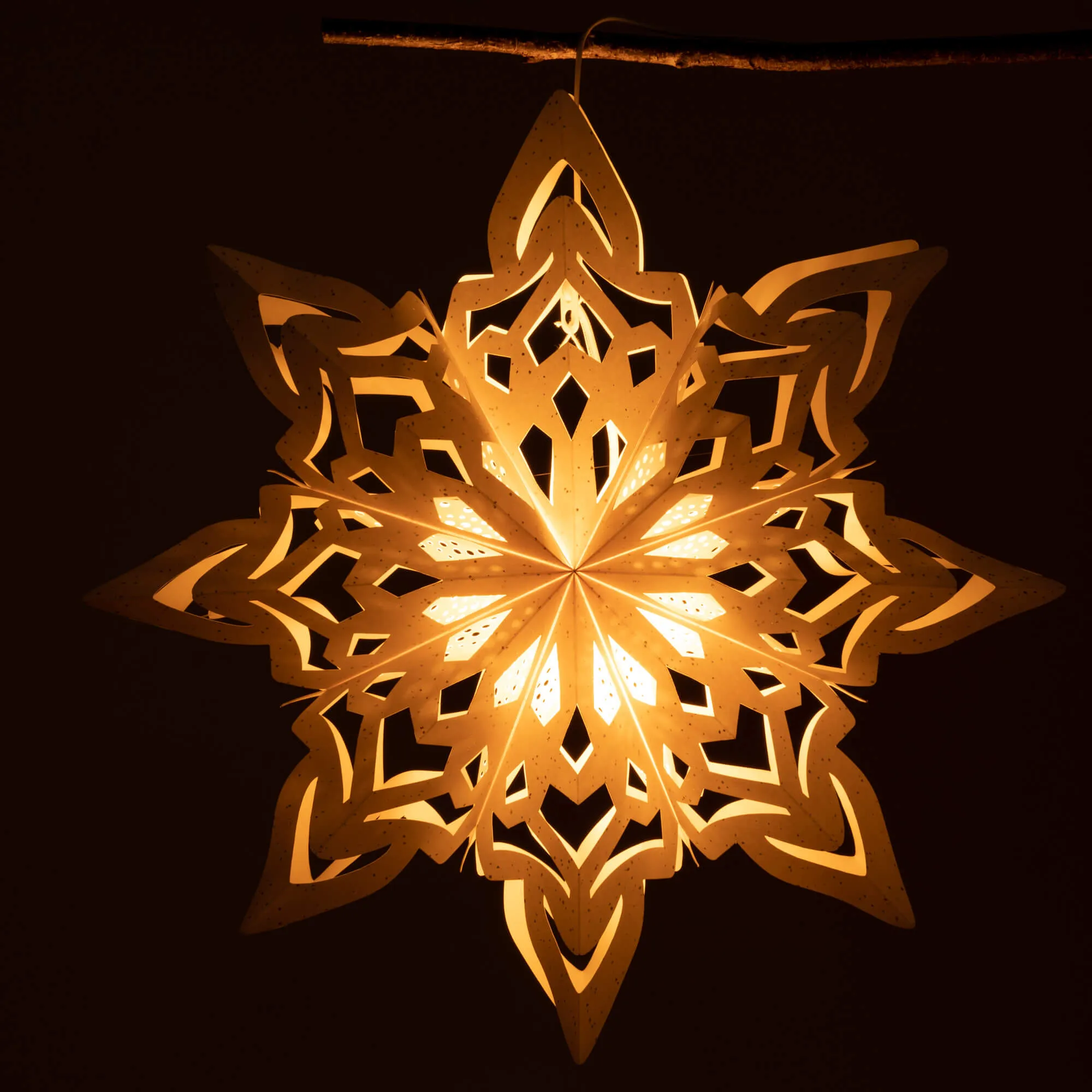 Lg Hanging Paper Star