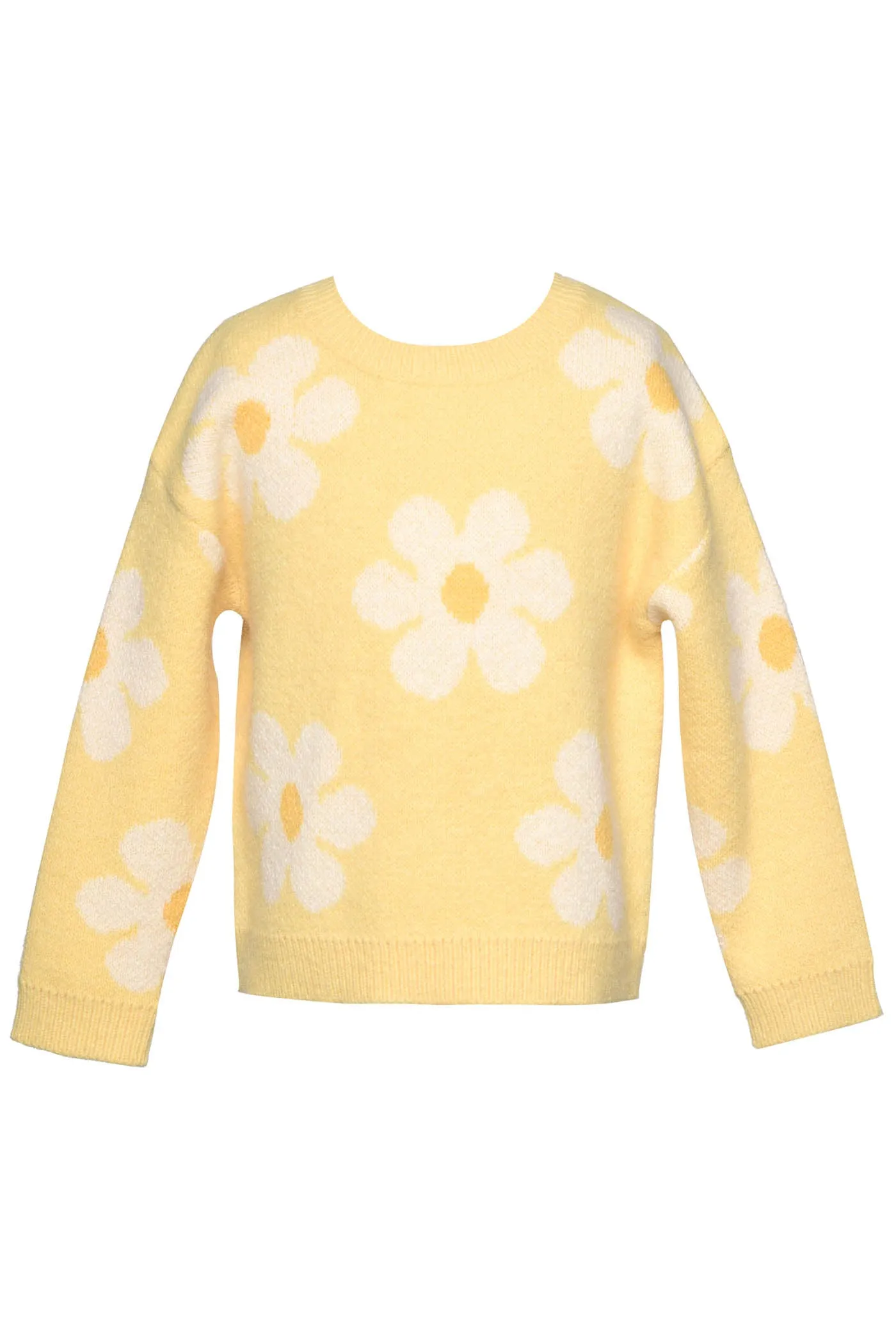 Little l Big Girl's Daisy Thin Knit Pullover Sweater