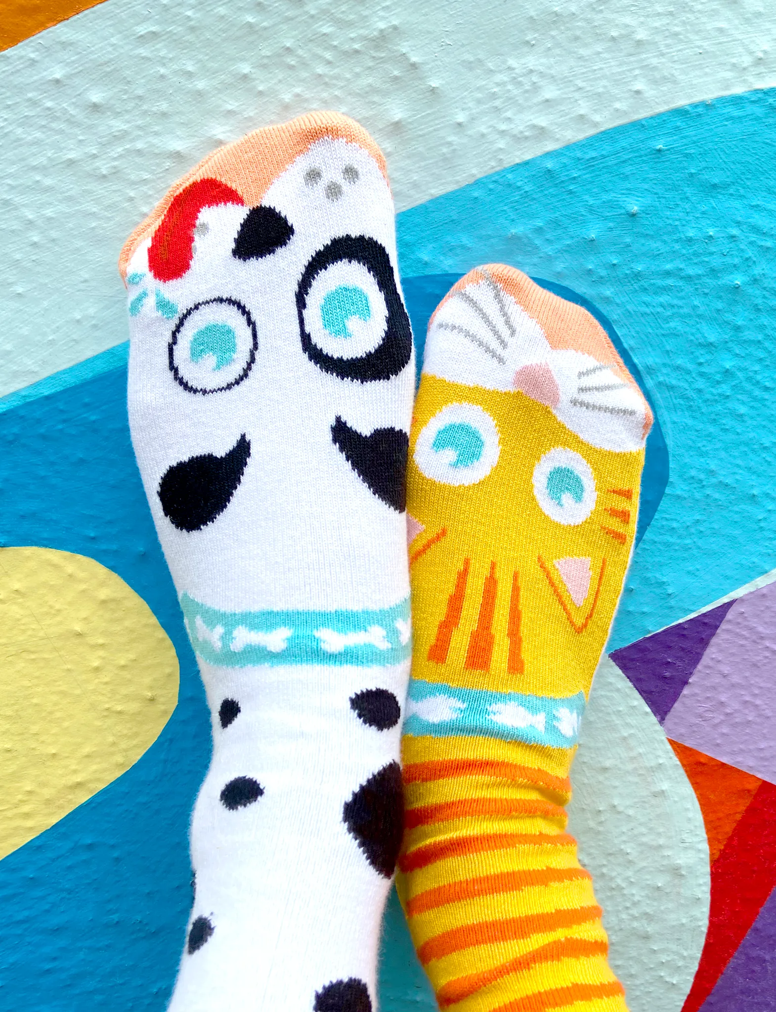 Mismatched Cat and Dog Socks: A Purrfect Pair - Adults