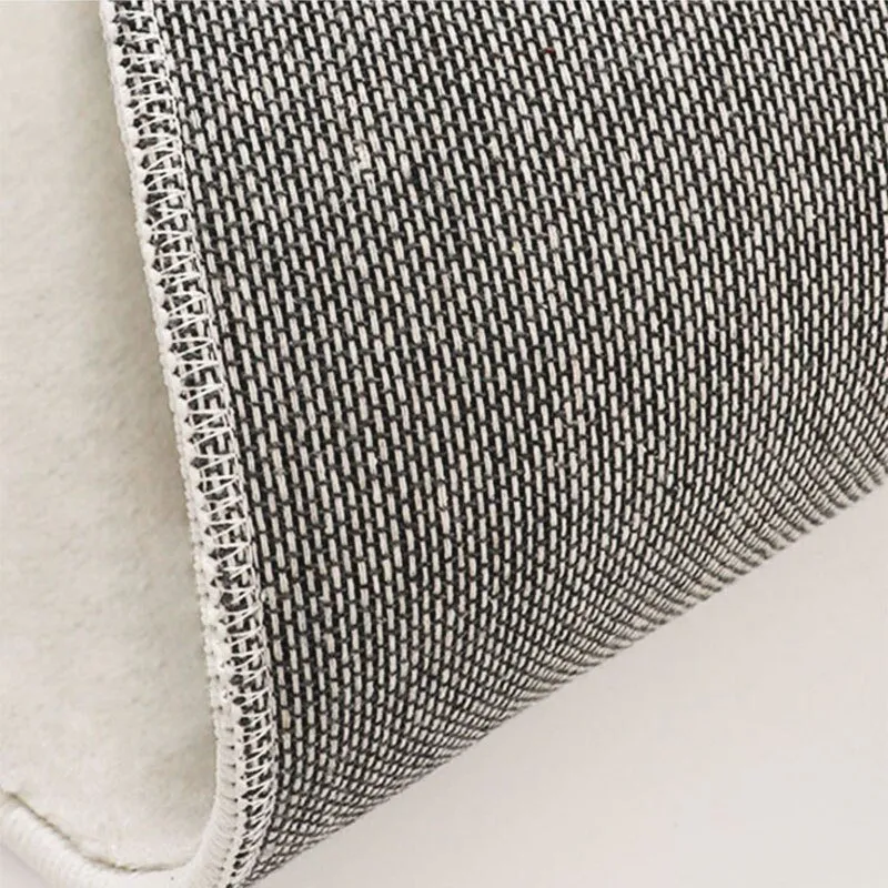 Modern Carpets for Living Room, Imitation Cashmere