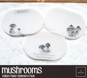 Mushrooms | Vellum Paper