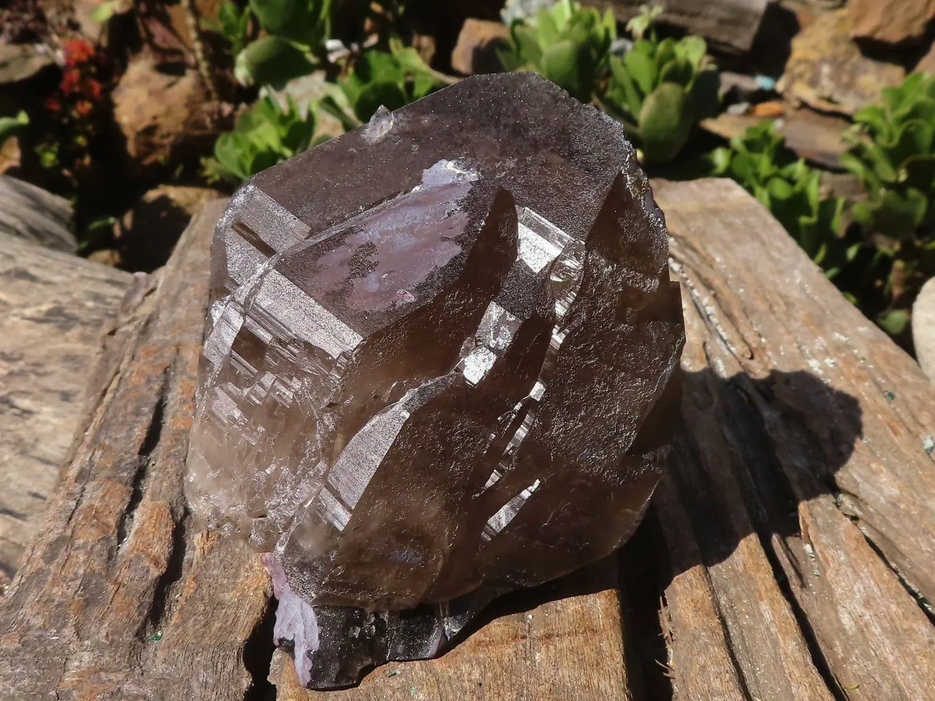 Natural Large Smokey Quartz Crystals x 4 From Zomba, Malawi
