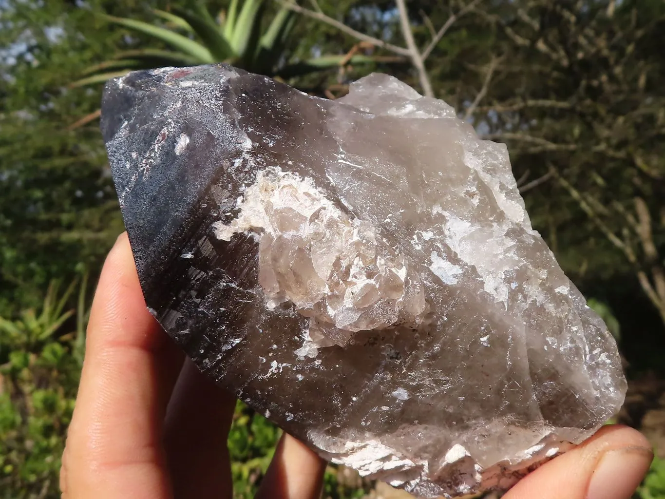 Natural Large Smokey Quartz Crystals x 4 From Zomba, Malawi