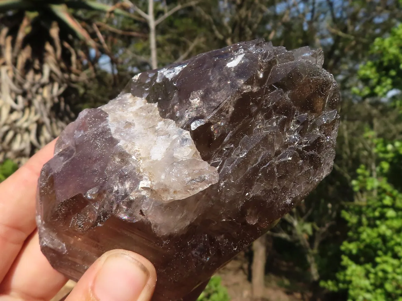 Natural Large Smokey Quartz Crystals x 4 From Zomba, Malawi