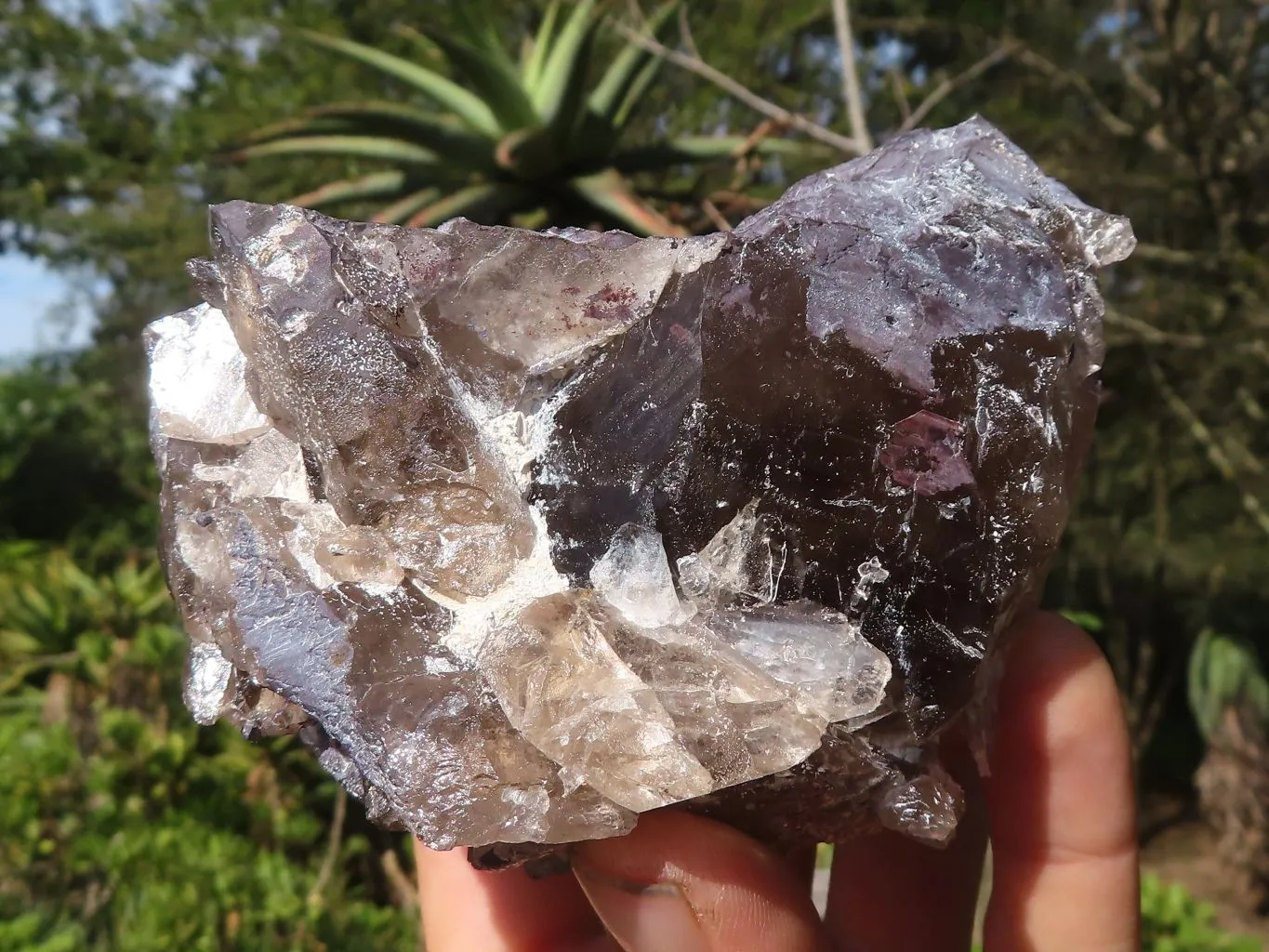 Natural Large Smokey Quartz Crystals x 4 From Zomba, Malawi