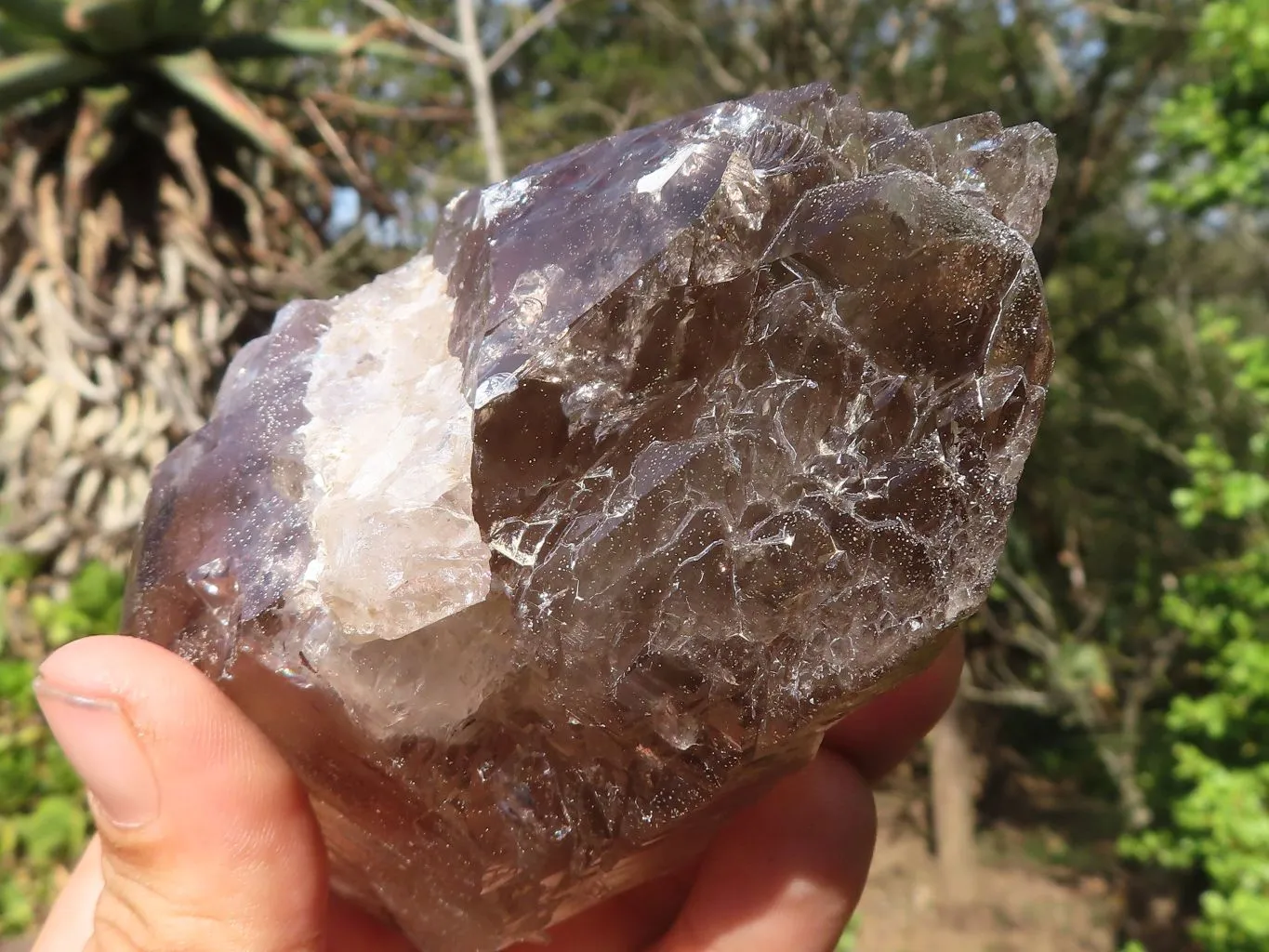 Natural Large Smokey Quartz Crystals x 4 From Zomba, Malawi