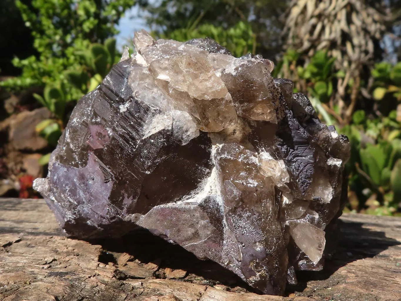 Natural Large Smokey Quartz Crystals x 4 From Zomba, Malawi