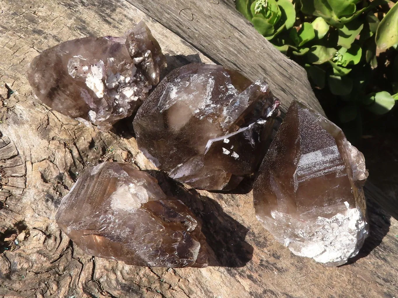 Natural Large Smokey Quartz Crystals x 4 From Zomba, Malawi