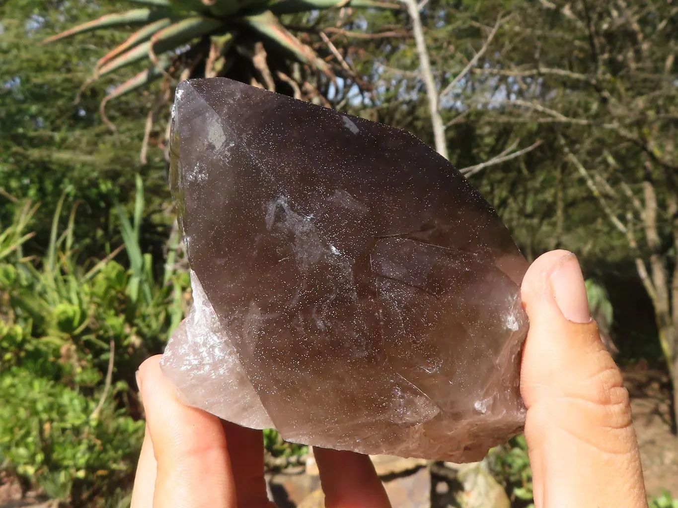 Natural Large Smokey Quartz Crystals x 4 From Zomba, Malawi