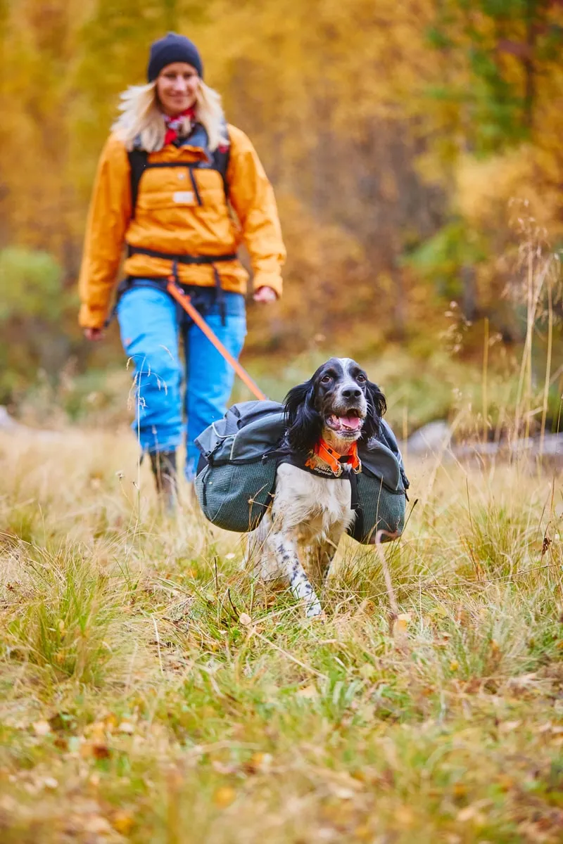 Non-stop Dogwear Amundsen  Gray/Black | Buy Non-stop Dogwear Amundsen  Gray/Black here | Outnorth