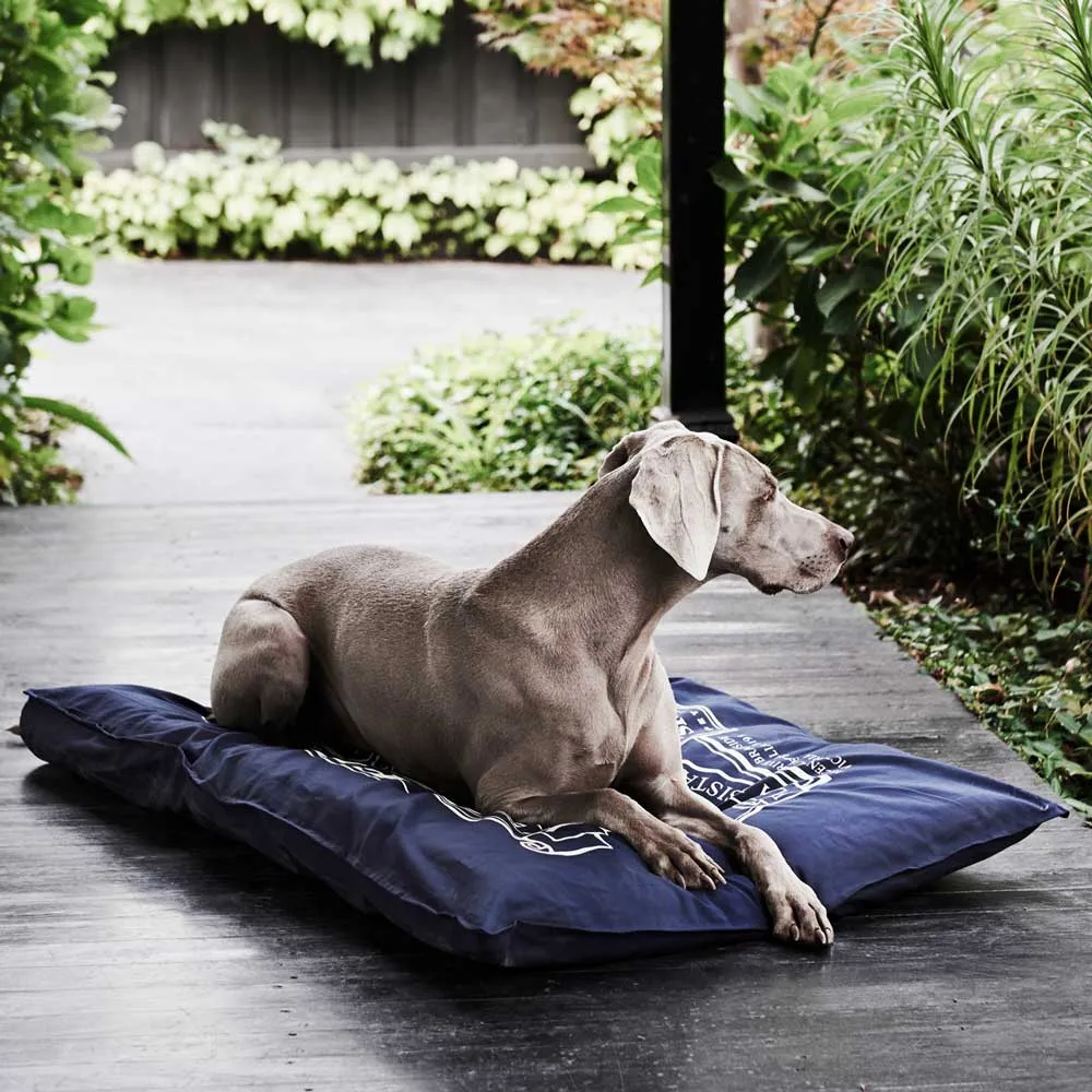 Organic Pet Futon Cover