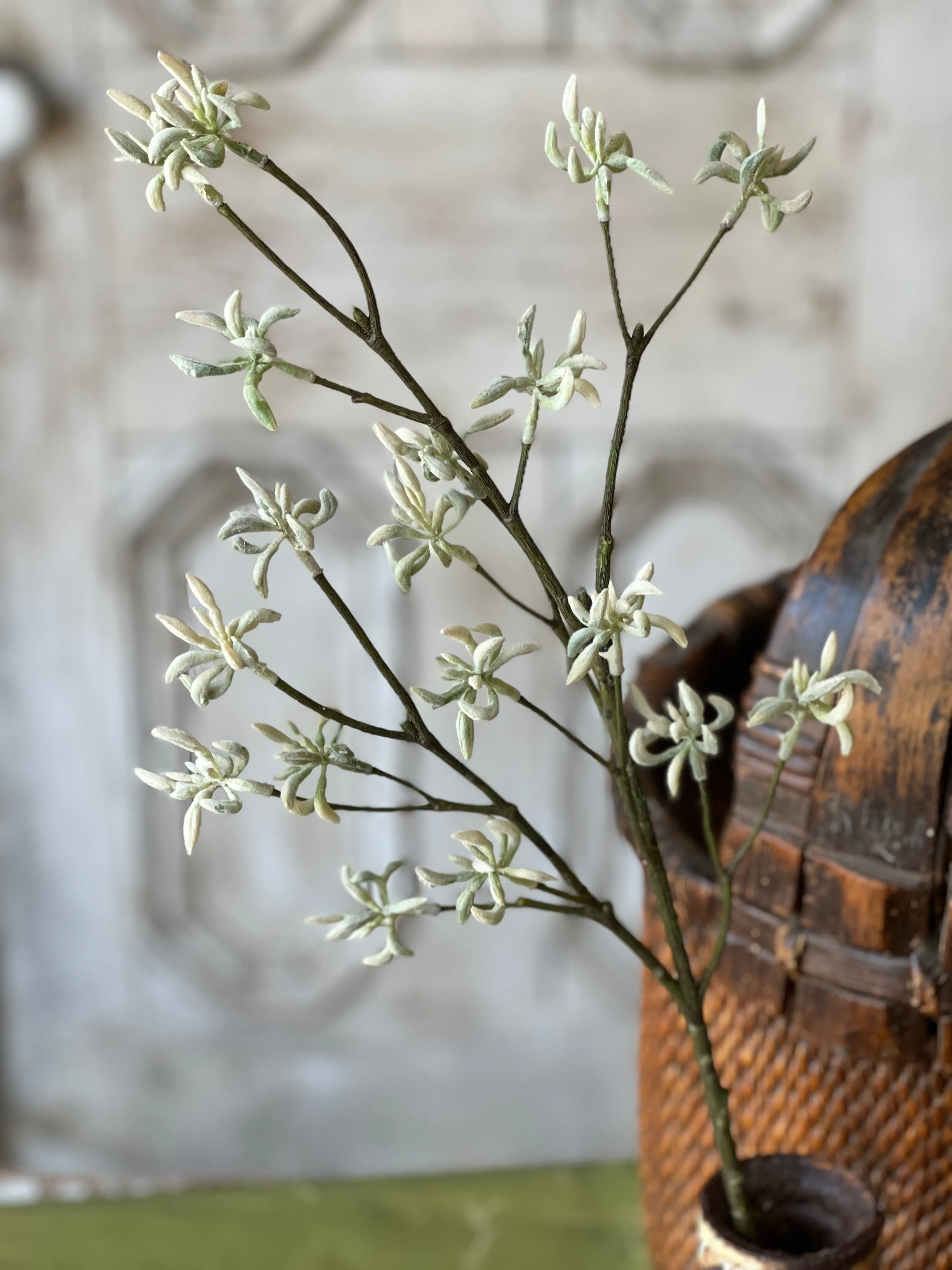 Orion Buds Spray | 29" | Cream | NOT CURRENTLY IN STOCK-New For Spring 2025!