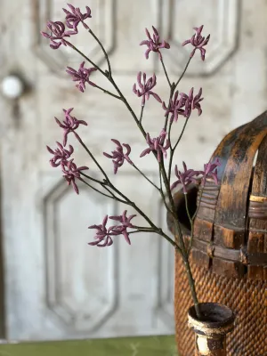 Orion Buds Spray | 29" | Purple | NOT CURRENTLY IN STOCK-New For Spring 2025!