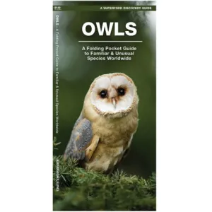Owls Folding Guide - Pocket Naturalist