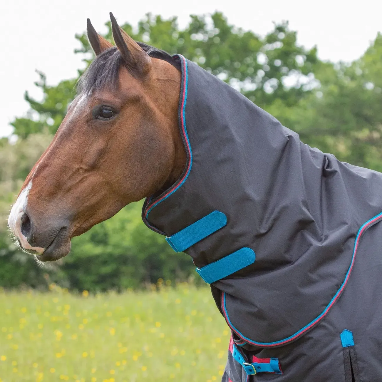 PADDOCK RUG WITH NECK 200 GR BLACK