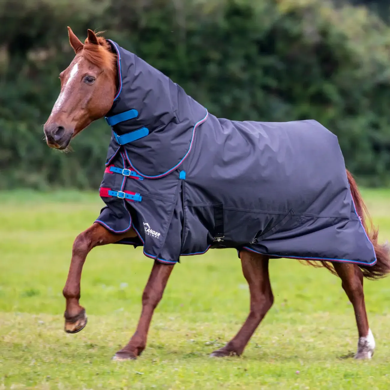 PADDOCK RUG WITH NECK 200 GR BLACK