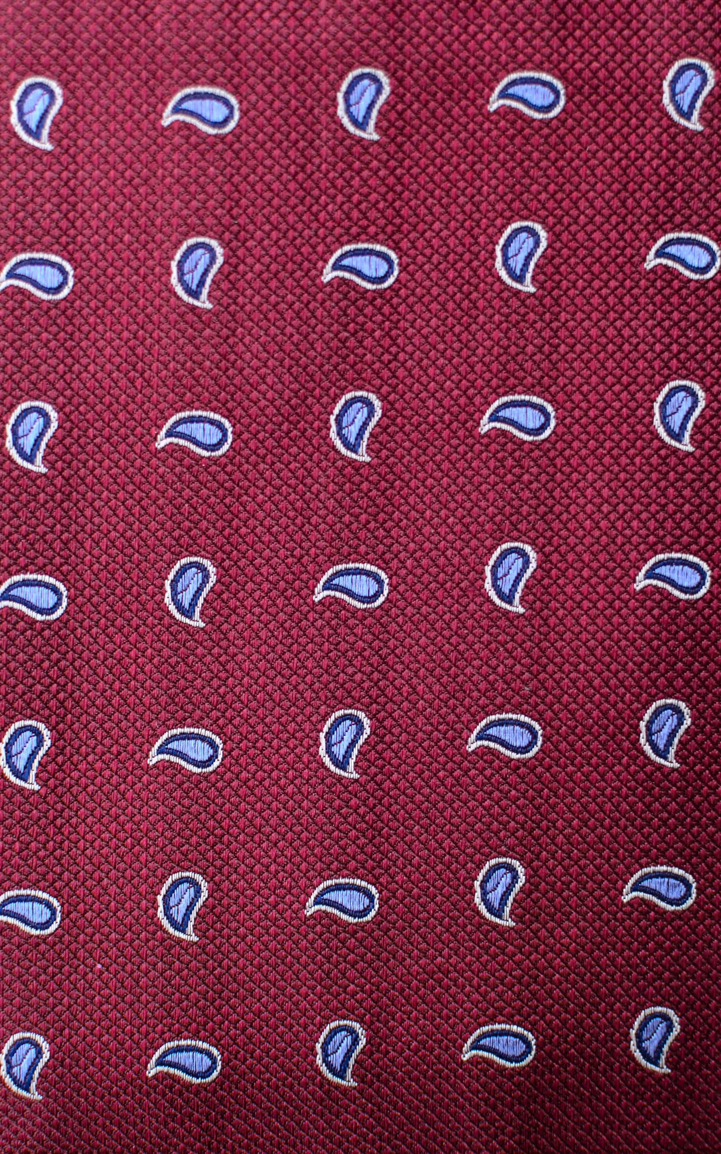 Paisley Silk Tie - Burgundy / Blue