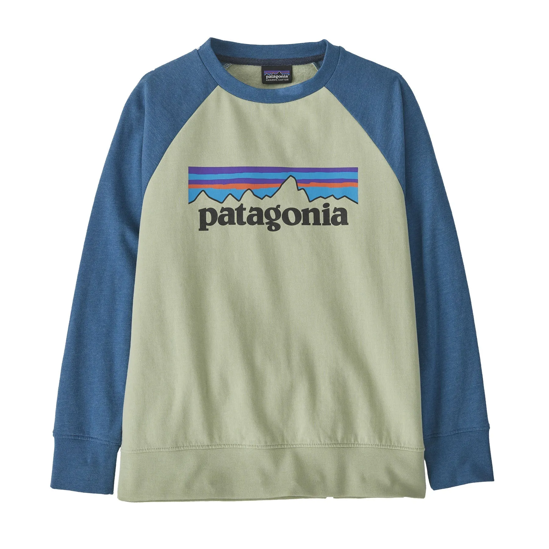 Patagonia Kids Lightweight Crew Sweatshirt