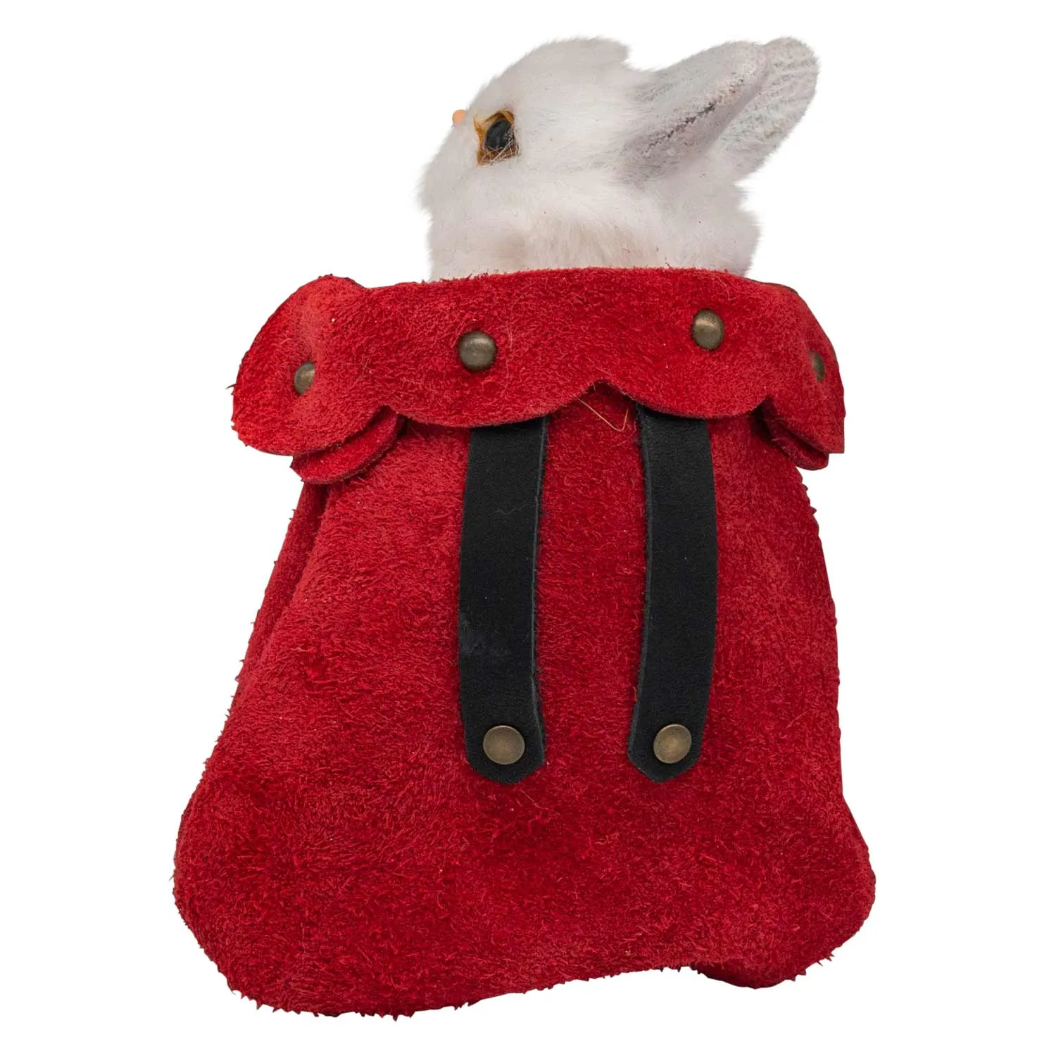 Pet Companion Roger