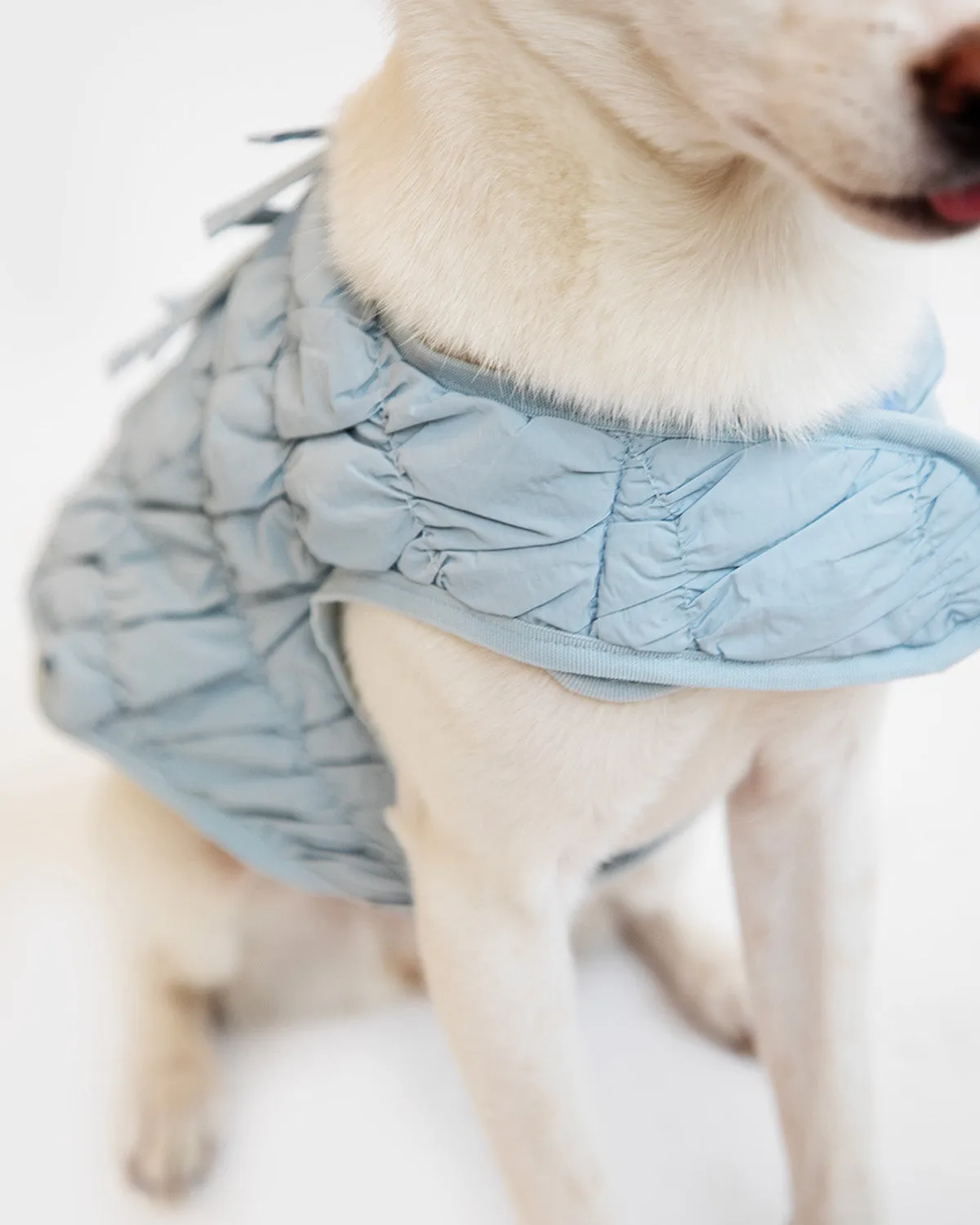 PLEATED DUVET DOGGY PUFFER