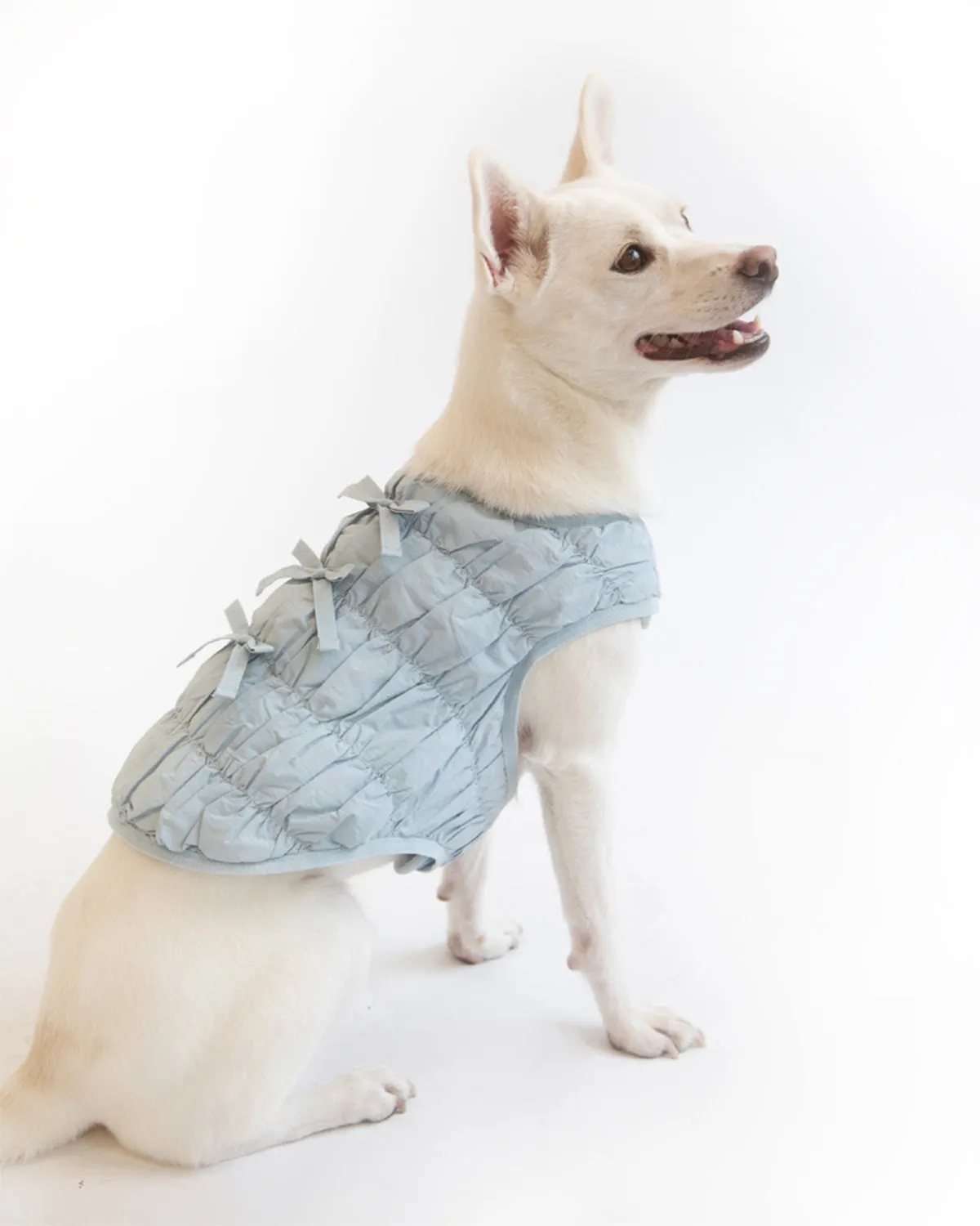 PLEATED DUVET DOGGY PUFFER