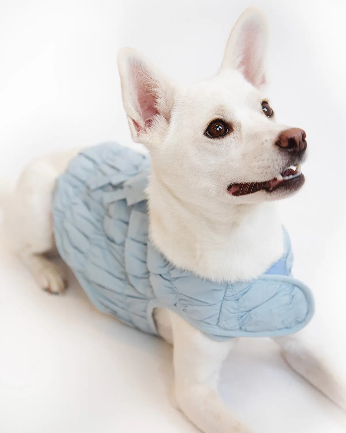 PLEATED DUVET DOGGY PUFFER