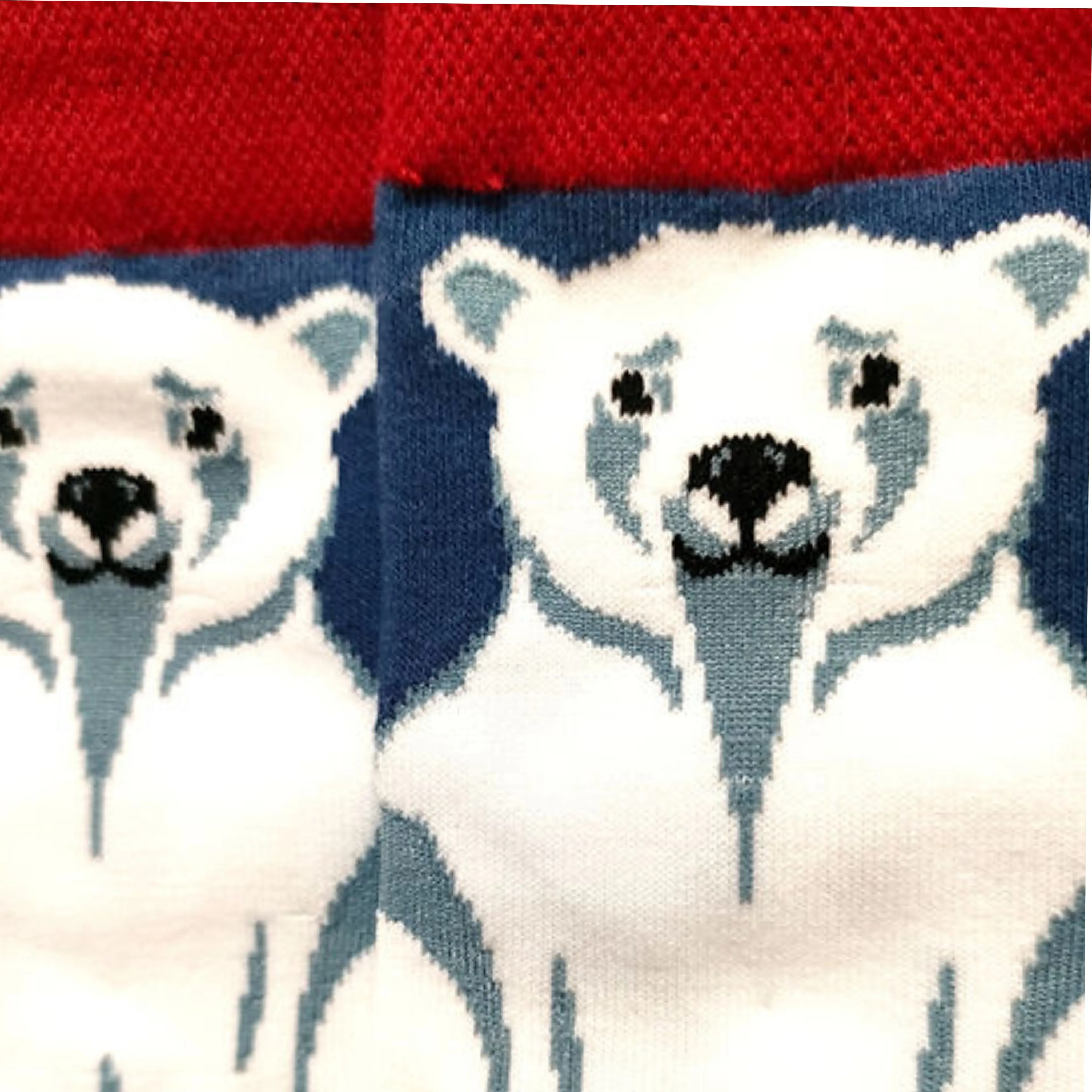 Polar Bear Socks (Adult Large - Men's Shoe Sizes 8-12)