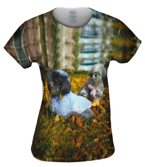 Poodles In Fall