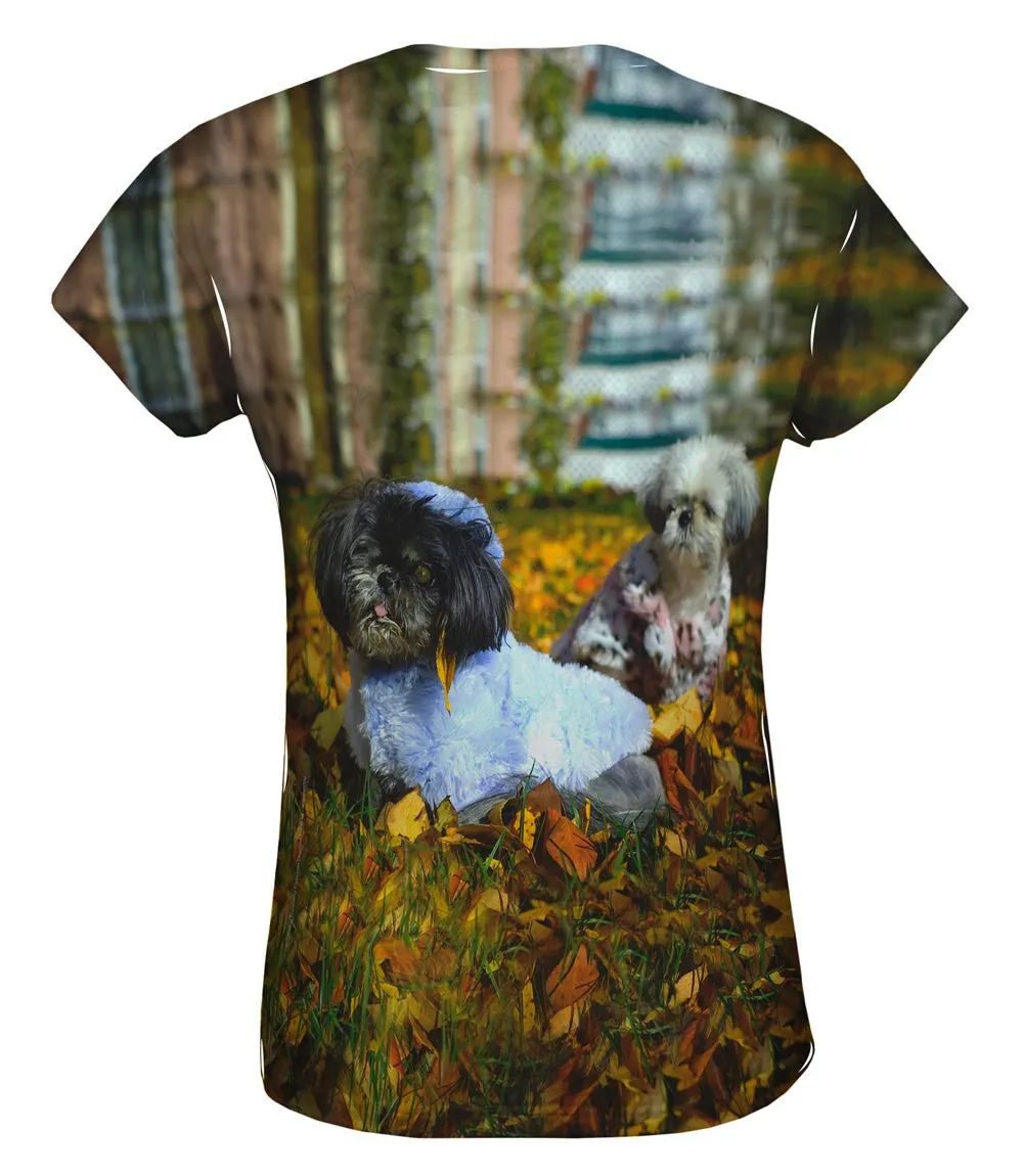 Poodles In Fall