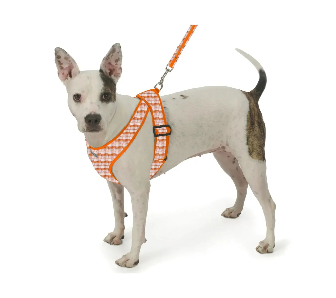 Precision Fit™ Gingham Dog Harness 3 LBS to 40 LBS