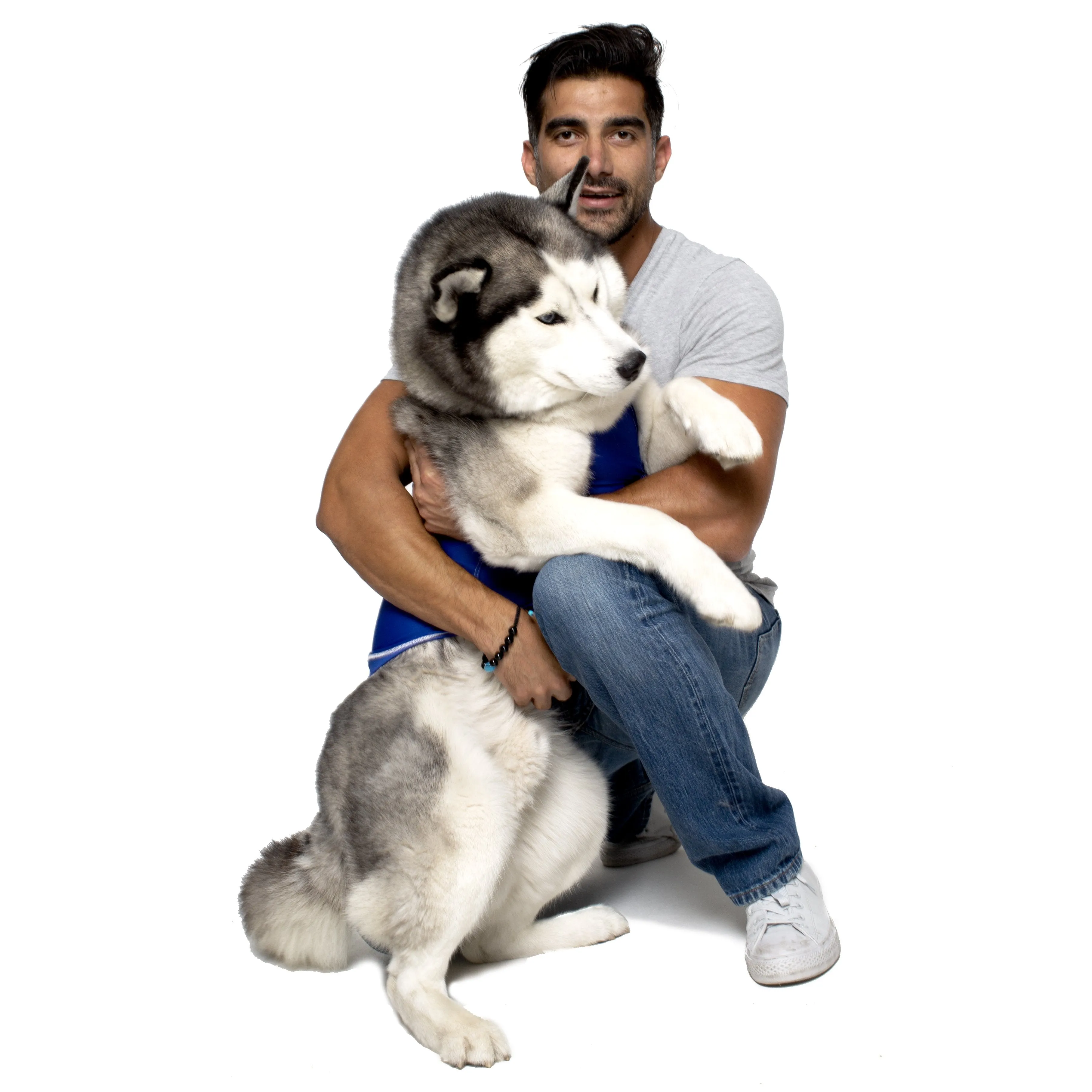 PRODOGG™ ANTI-ANXIETY COMPRESSION SHIRT FOR 3XL-5XL 159101C