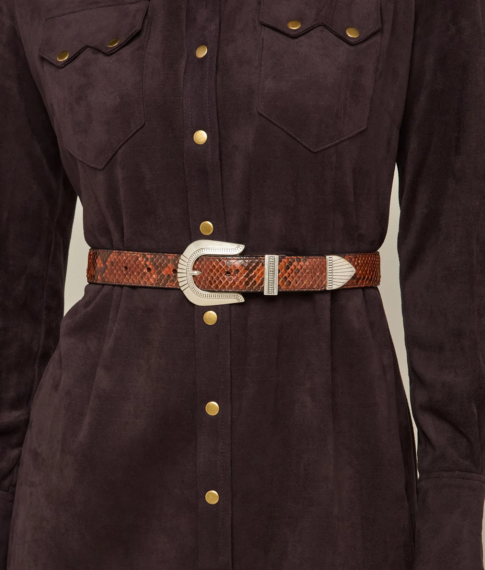 Python Belt :: Cognac