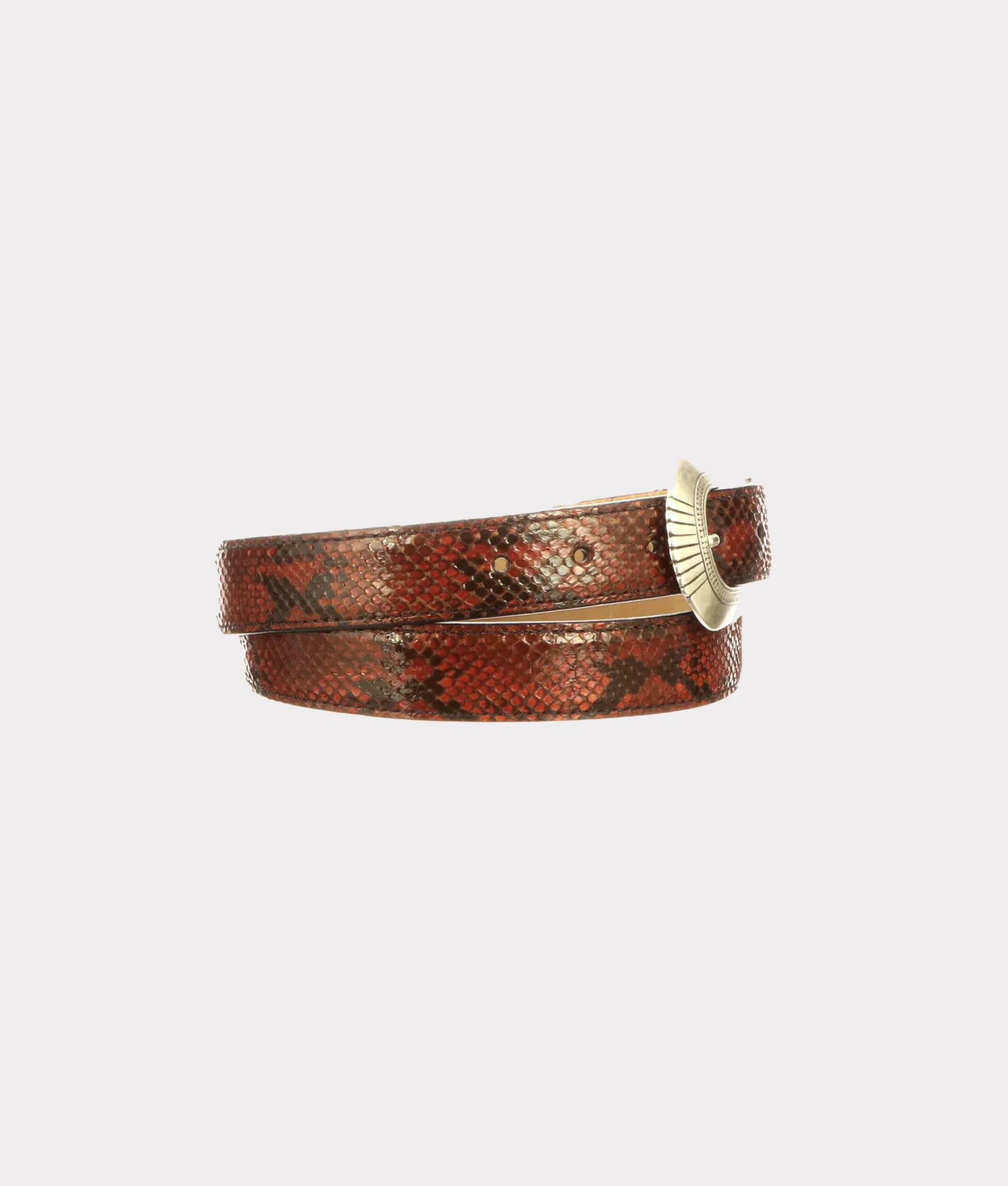 Python Belt :: Cognac