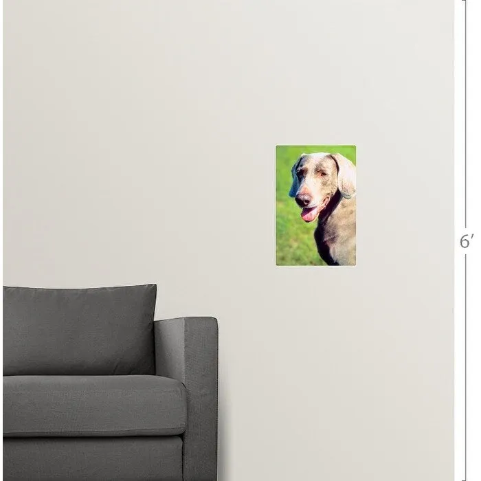 "Adorable Weimaraner dog" Poster Print - Multi