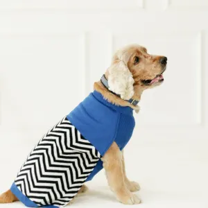 Raisin’s Sweater